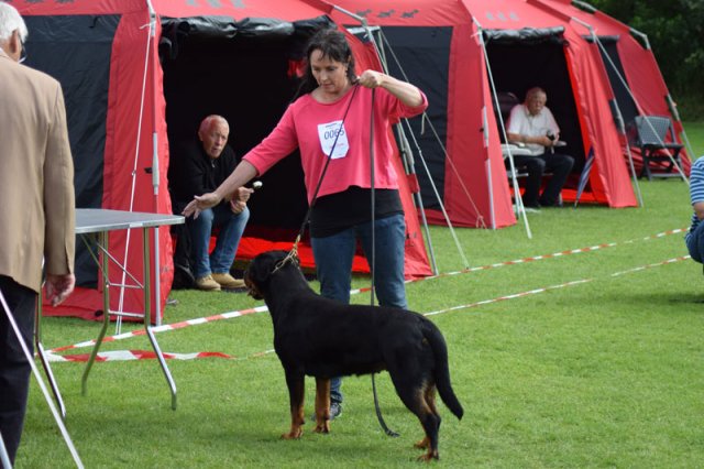 Varde 2015