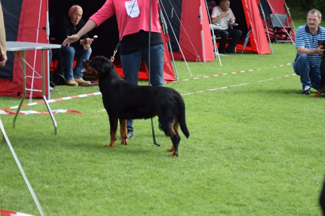 Varde 2015