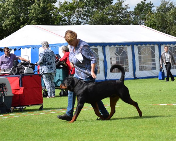 Varde 2015