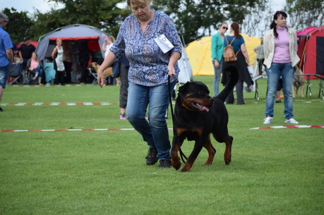 Varde 2015