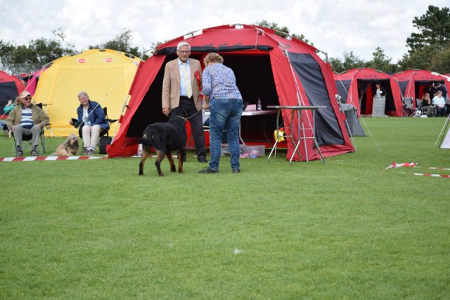 Varde 2015
