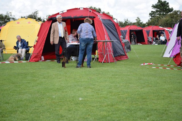 Varde 2015