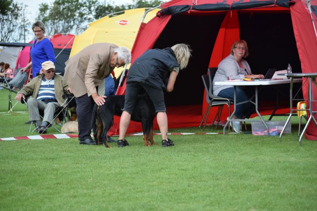 Varde 2015