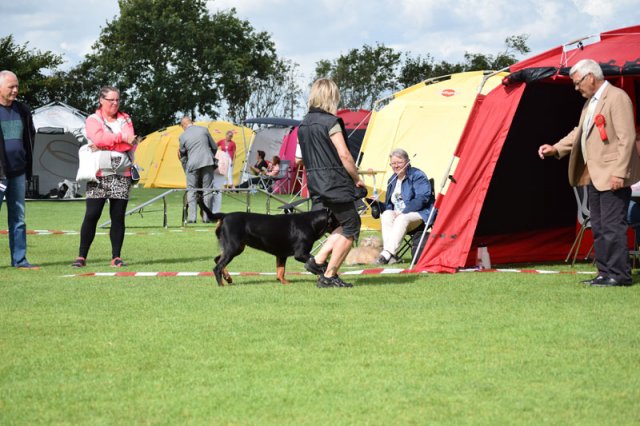 Varde 2015