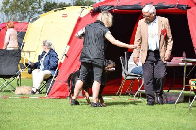 Varde 2015